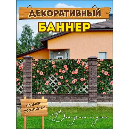 ���� ������������ ������ ��� ������, �������, ������ �� 711 ���