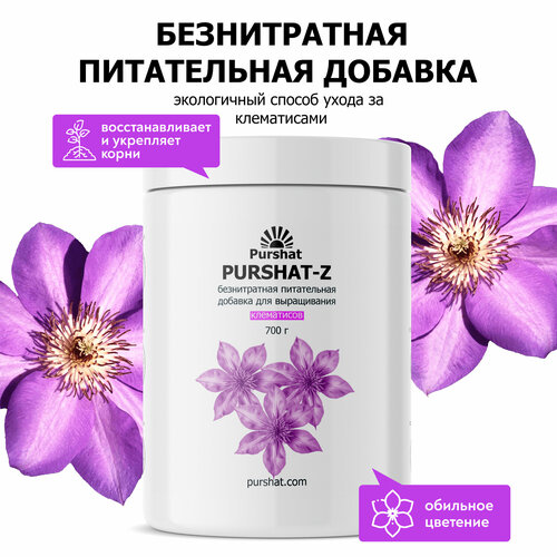 ���� ������-Z ������������ ����������� ������� ��� ���������� 700 �, ������ �� 570 ���