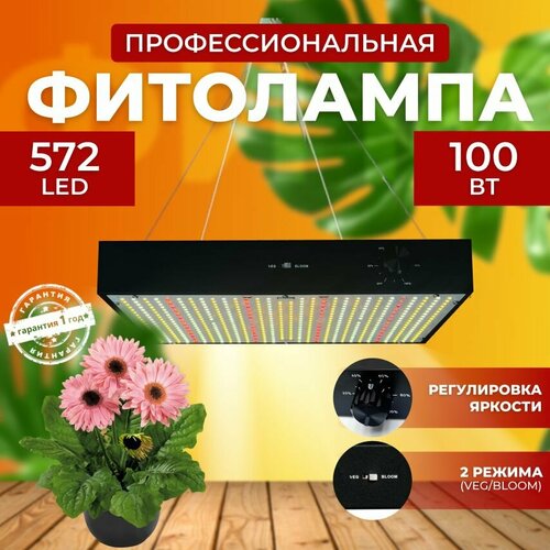 ���� ��������� ��� ����������� �������� ������� ������ ������, ���������������� �������������� ������������ Quantum board, ����� ��������� ��� ������ � �������� 100 ����, ������ �� 6900 ���