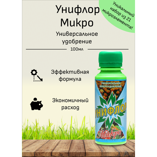 ���� ������� 