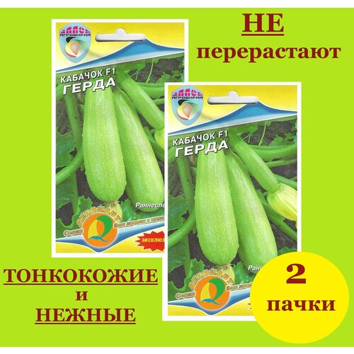 ���� ������� �������� ������ ����� (2 ��������*5 �� �����), ������ �� 248 ���