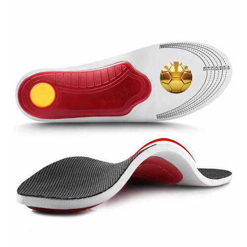 ���� ������� �������������� ��� ������������ ��������� ��� �������� �����, ������ �� 568 ���