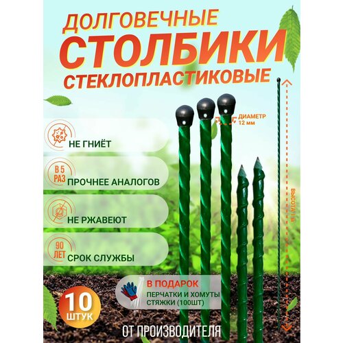        (D 12)  1.  10 .  - ,   1965 