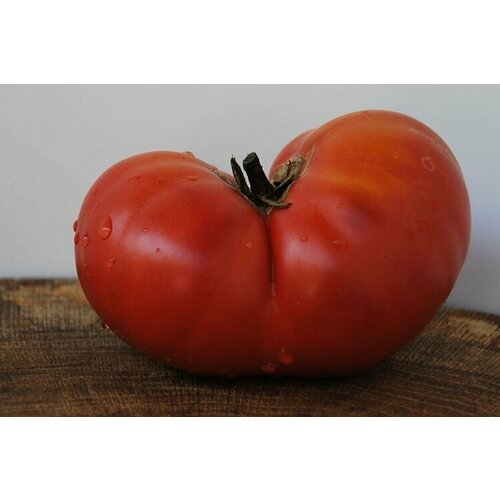 ���� ������ ����� ������������ ��������� 20 ��., ������ �� 205 ���