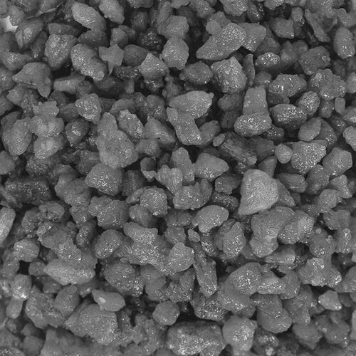 ���� ����������� ����� ��� ��������, ����������� � ��������, Zoo One, ��������� ��������, 