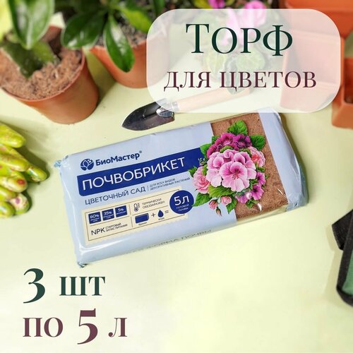 ���� ����������� / ����� ��� ������������ �������� 15 � (3 �� �� 5 �), ������ �� 637 ���