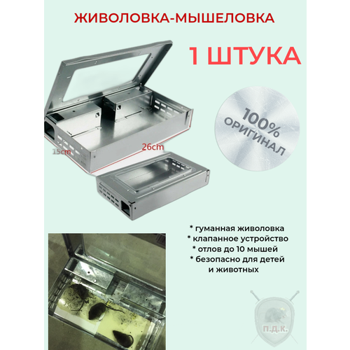 ���� ��������� ��� ������ ������ �������� (�����) 1 ��, ������ �� 1100 ���