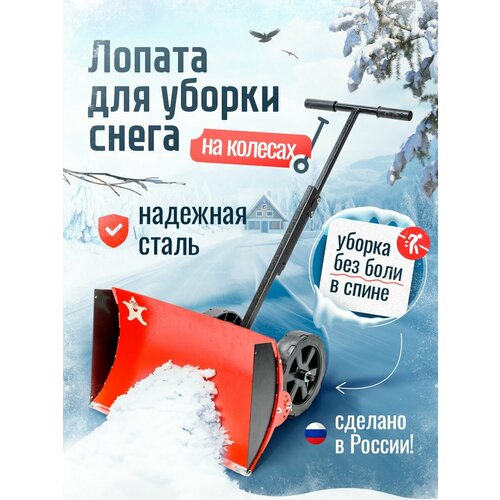 ���� C������������� ������ ������������� �� ������� � �������, ������ �� 6550 ���