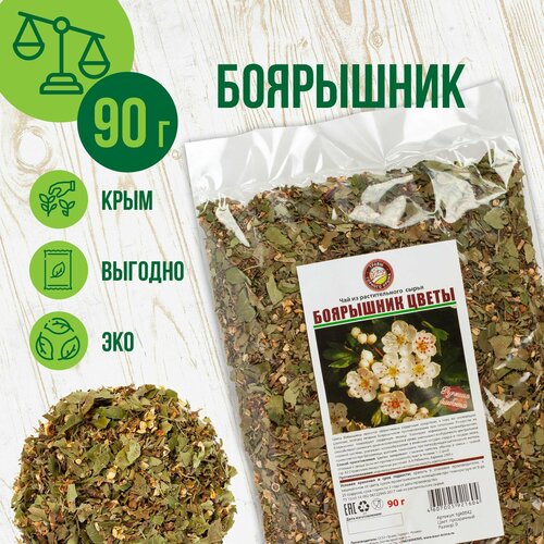 ���� �������� ���� 