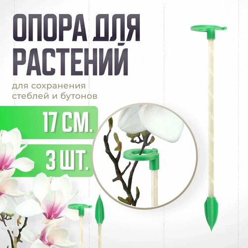      ,    ,   ,   17  - 3 ,   329 