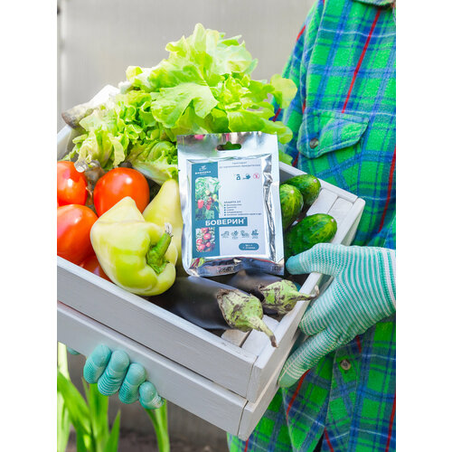 ���� ����������� ������� �� ��������� ���������� �� ������� 50 �, ������ �� 415 ���