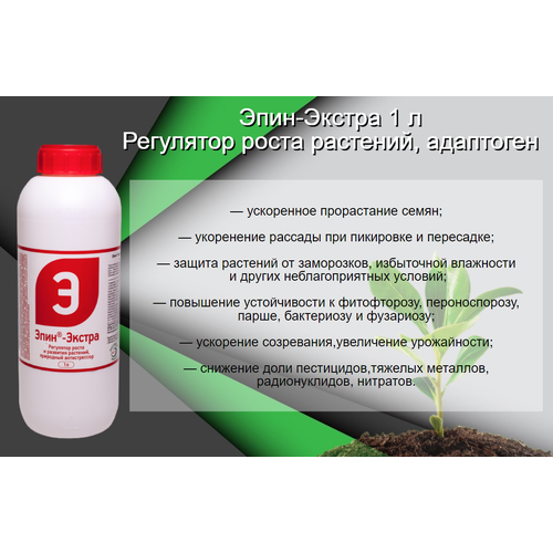 ���� ����-������ 1 � ��������� ����� �������� ���������, ������ �� 8500 ���