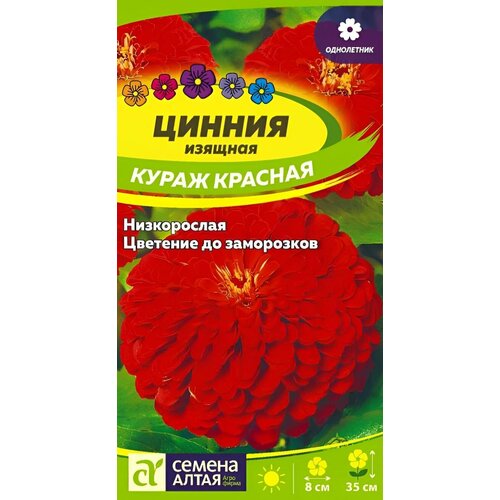 ���� ������ ������ ������ ����� 