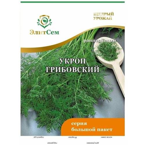 ���� ������ ����� ���������� BIG �������� XXXL 10 � (�������), ������ �� 65 ���