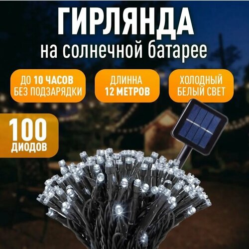       , 100LED   -     , -, 