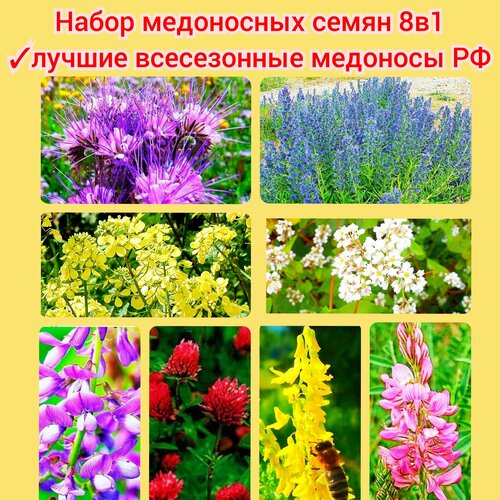 ���� ����� ���������� ����� 8�1 (1600 ��) �������� ������� ����� ������ ��������� ������ ������� ������� �������, ������ �� 2873 ���