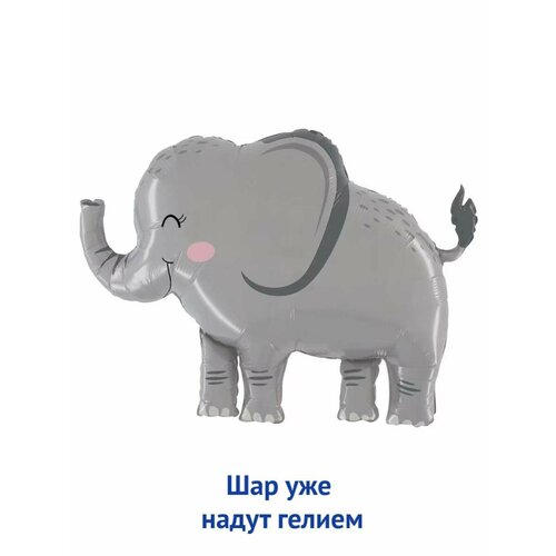 ���� ��������� ��� � ������ �������������� ������ ������ ����, ������ �� 814 ���