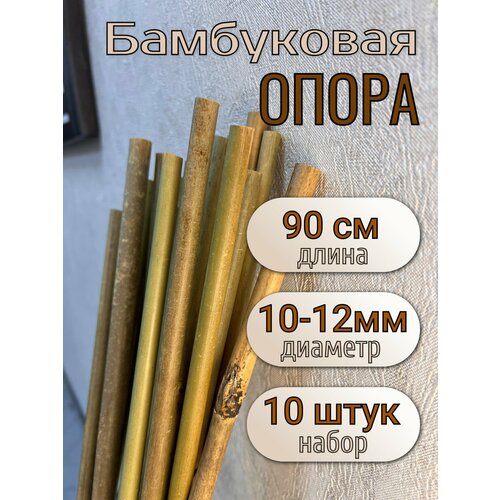        90 , 10/12 , 10.  .,   480 