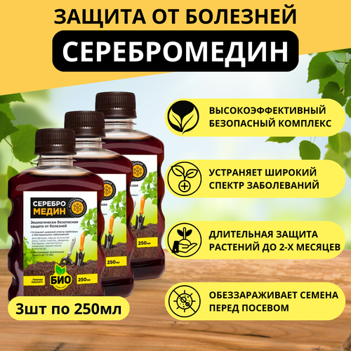 ���� ������������, ������ �� 702 ���