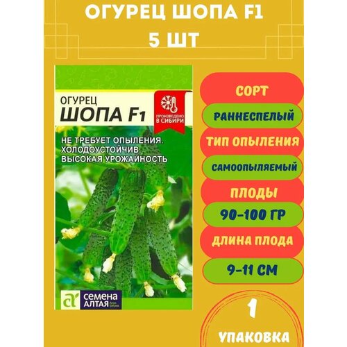 ���� ������ ������ ���� F1, 5 ����� 1 ��������, ������ �� 248 ���