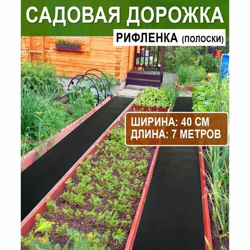 ���� ������� ������� ��������� 