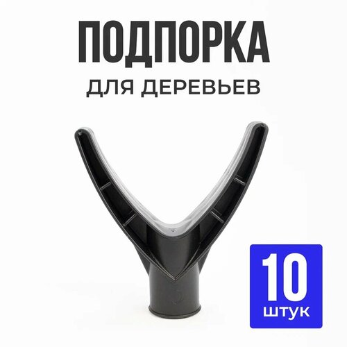 ���� �������� ��� �������� 