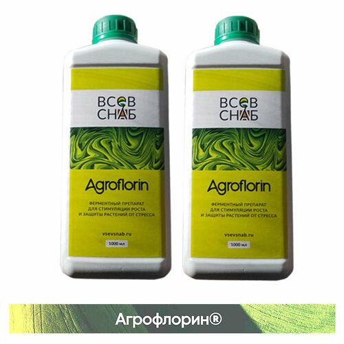 ���� ����������. ���������� ������ ���������� �� ������ ������. ����� 2 ������� �� 1�., ������ �� 13384 ���