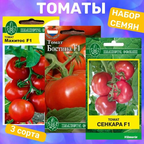 ���� ����� ����� ������� / ������� F1, ������� F1, ������� F1, ������ �� 442 ���