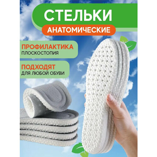 ���� �������������� ������� ��� ������, �������������, ������, ������ � �������, ������ 35-40 �����, ������ �� 383 ���