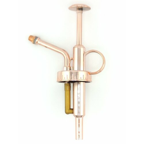   ()      (   ),   585 