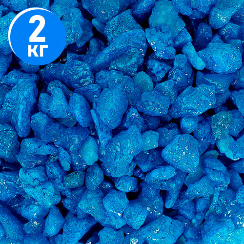 ���� ����������� ����� ��� ��������, ����������� � ��������, Zoo One, ��������� ��������, 