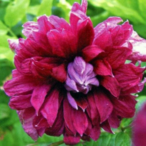     ()    0,05  (1 ),   479 