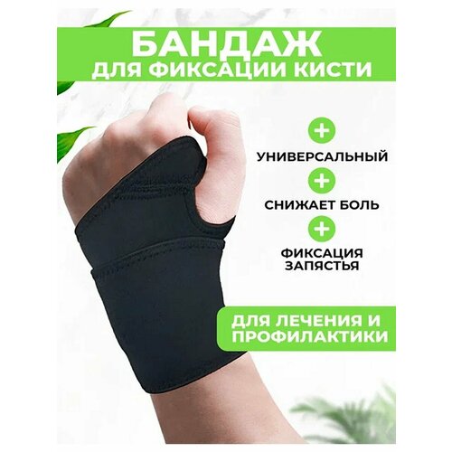     QuisLife,       ,   326 