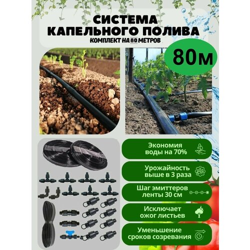 ���� ������� ���������� ������ ��� ������ � ��������� ������ �� 80 ������, ��� 30 ��, ������ �� 1650 ���