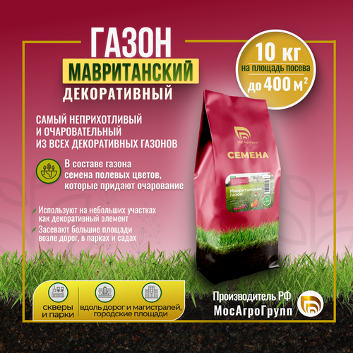 ���� ������ �������� ����� 