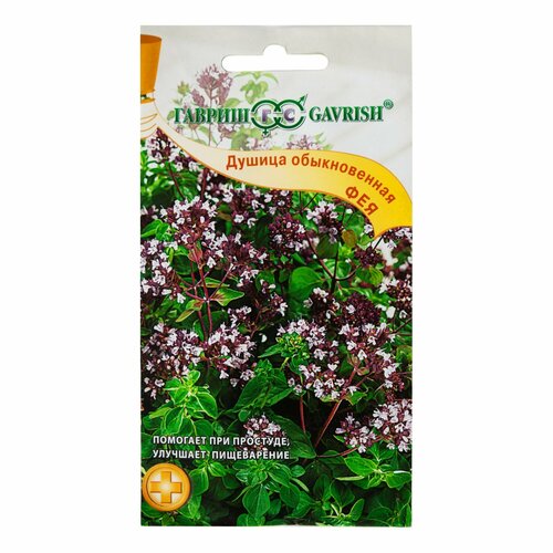 ���� ������ ������ ��� (�������), 0.1 �, ������ �� 48 ���