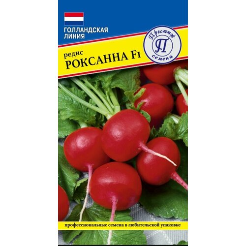 ���� ������ ����� �������� F1 1� ������� (�������), ������ �� 78 ���