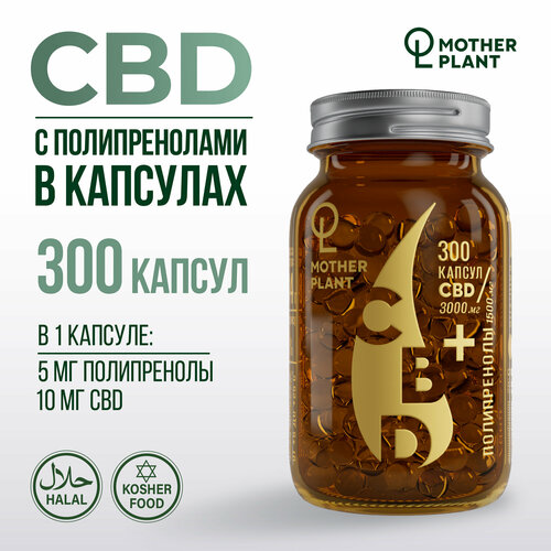 ���� ����� CBD � ������������� � �������� (300 ������ �� 10 ��), Motherplant, ������ �� 7800 ���