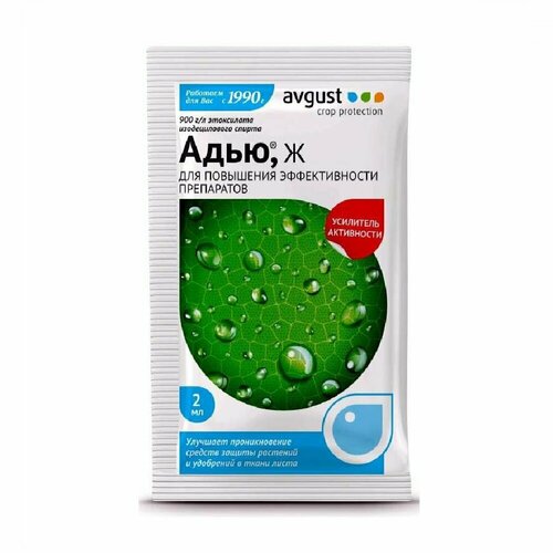 ���� ���� ������ 2��, ������ �� 350 ���