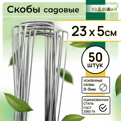 ���� ����� ������� �-�����, ������ 23�� � 5��, d-3��, (50 ��), ������ �� 549 ���