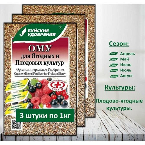 ���� ��� 