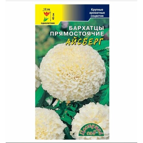 ���� ������ �������� ��� 