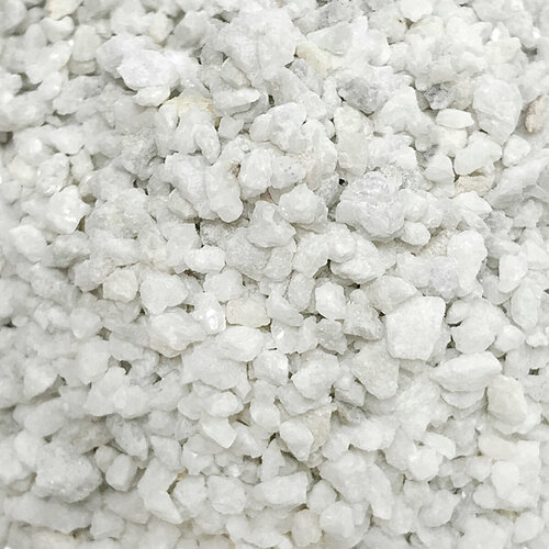 ���� ����������� ����� ��� ��������, ����������� � ��������, Zoo One, ��������� ��������, 