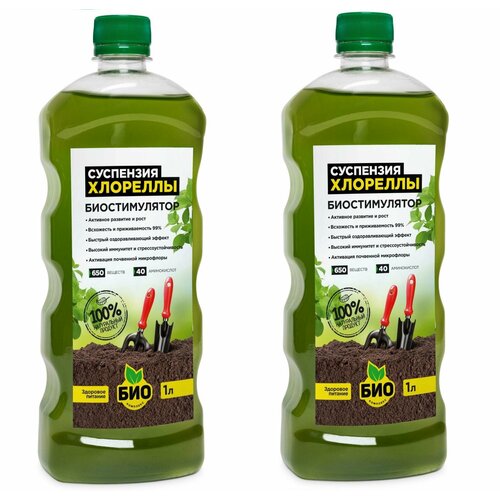 ���� ���-�������� ������������ ��������� ��������� �������� ��������� ����������������� �������������, ��� ����������� �����, ��������� �������, ������ �������� � �������� ��������, 2 �� �� 1 �, ������ �� 500 ���