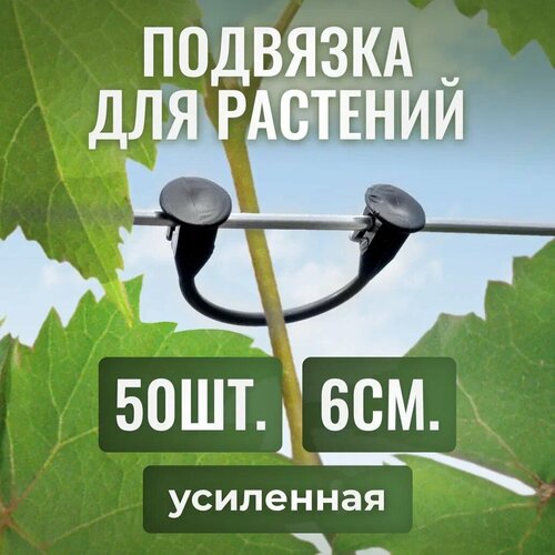 ���� �������� ��� ��������, ��������� ��� ������ �������, ������ ������ �� ��������� 