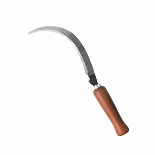 ���� ���� ���� ������� 25, ������� ����������, ������ �� 545 ���