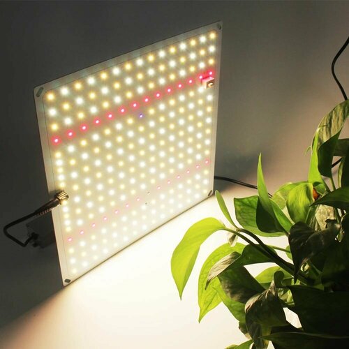 ���� ��������� ������� ������� Samsung LM281B 65 ��/quantum board/ ������� ����/ ������ QBC 600, ������ �� 3100 ���