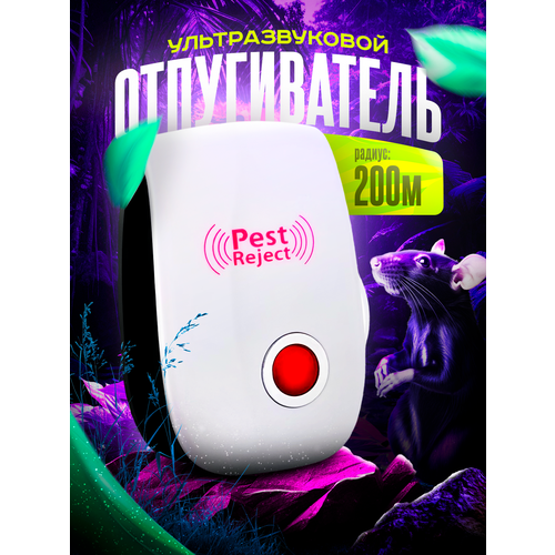 ���� �������������� ������������ �� ����� � ���������, ������ �� 400 ���