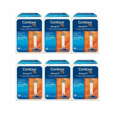 ���� ����-������� ������ �� (�ontour TS) � 300 ( 6�50, ���� 31.01.2025), ������ �� 2250 ���