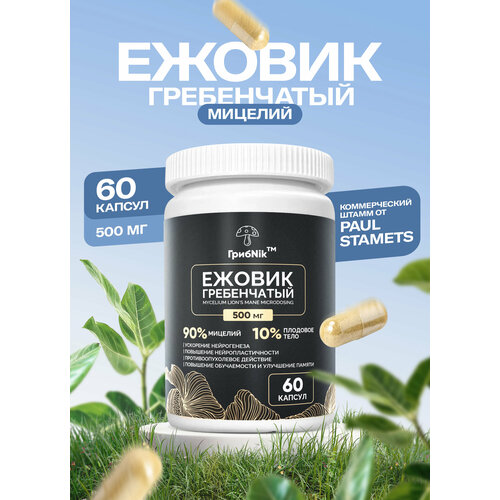 ���� ������(������) ����������� ������� ����Nik - 500 �� � 60 ������, ������ �� 554 ���